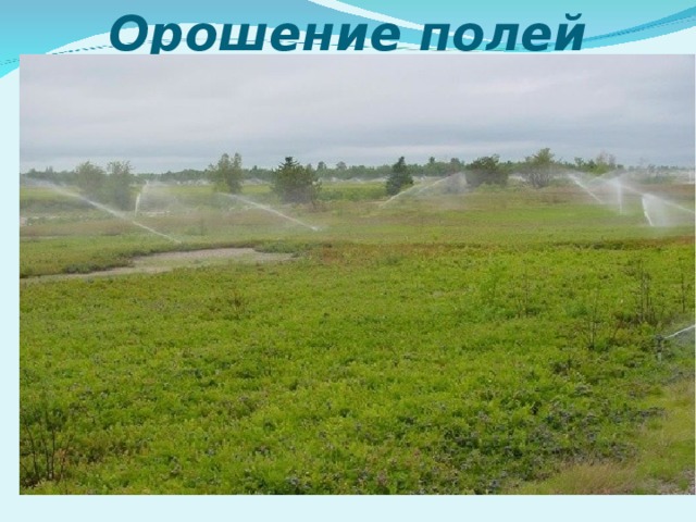 в каком городе цчр находится тракторный завод. img v99706443 1 19. в каком городе цчр находится тракторный завод фото. в каком городе цчр находится тракторный завод-img v99706443 1 19. картинка в каком городе цчр находится тракторный завод. картинка img v99706443 1 19. Разработка урока по географии для 9 класса на тему "Центрально-Черноземный район", включает презентацию, конспект и рабочий лист к уроку.