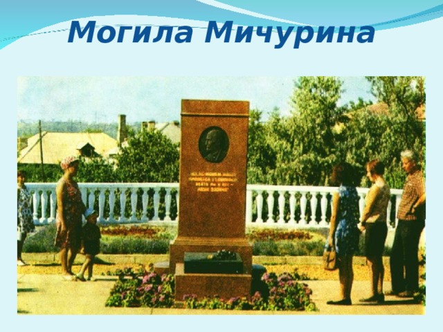 Могила Мичурина