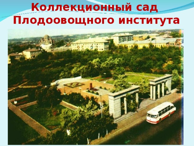 Коллекционный сад  Плодоовощного института