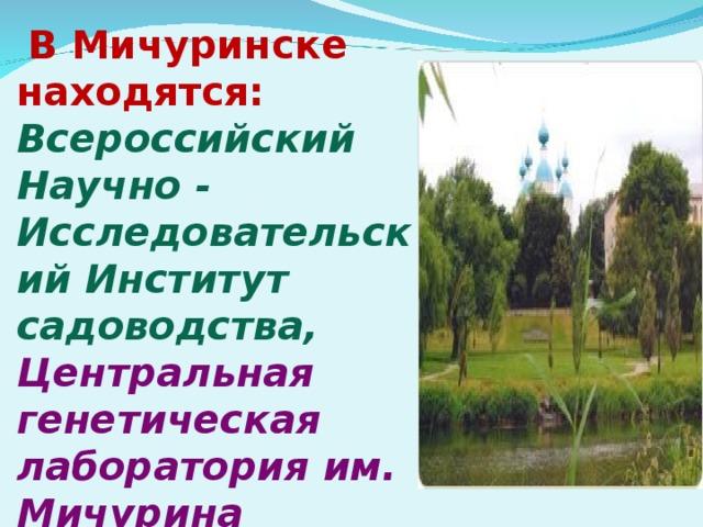 В Мичуринске находятся:  Всероссийский Научно - Исследовательский Институт садоводства,  Центральная генетическая лаборатория им. Мичурина