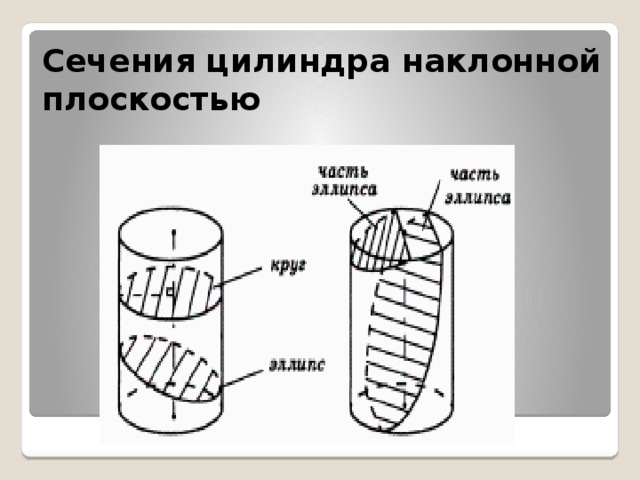 Сечения цилиндра наклонной плоскостью 