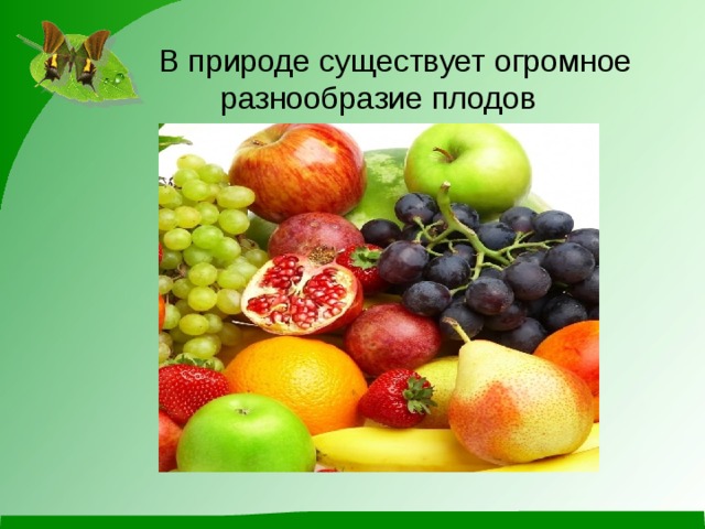 Какое значение плодов. Роль плодов в природе. Разнообразие плодов в природе. Плоды в жизни человека. Разнообразие плодов и их роль в природе и в жизни человека.