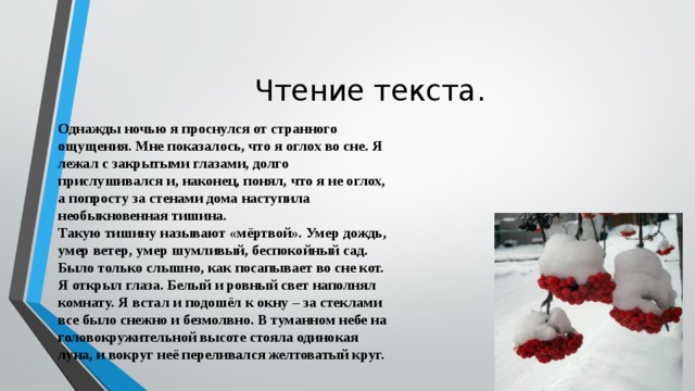 Раз когда я открыл глаза меня поразил яркий свет освещавший белую равнину разбор