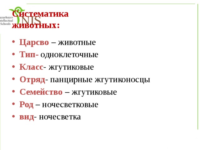 Систематика животных презентация 7 класс по биологии