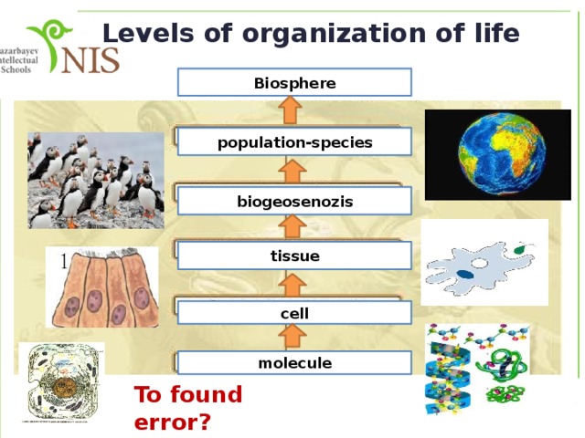 Levels of organization of life Biosphere population-species biogeosenozis tissue cell molecule To found error? 