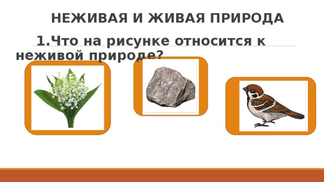 НЕЖИВАЯ И ЖИВАЯ ПРИРОДА  1.Что на рисунке относится к неживой природе? 