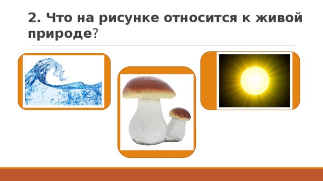2. Что на рисунке относится к живой природе ? 