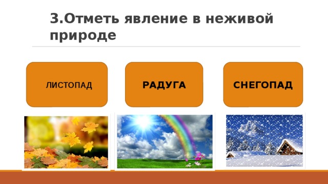 Явления жив. Отметь явление в неживой природе. Явления живой природы. Явления природы в неживой природе. 3 Явления неживой природы.