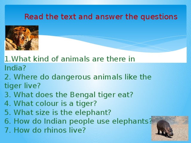 1.What kind of animals are there in India? 2. Where do dangerous animals like the tiger live? 3. What does the Bengal tiger eat? 4. What colour is a tiger? 5. What size is the elephant? 6. How do Indian people use elephants? 7. How do rhinos live? Read the text and answer the questions 