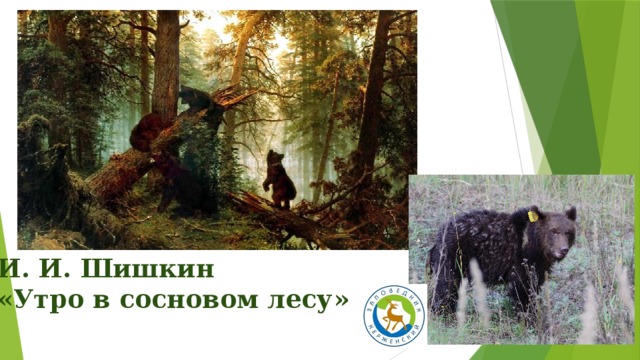 И. И. Шишкин «Утро в сосновом лесу» 