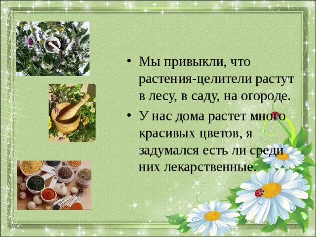 Мы привыкли, что растения-целители растут в лесу, в саду, на огороде. У нас дома растет много красивых цветов, я задумался есть ли среди них лекарственные. 