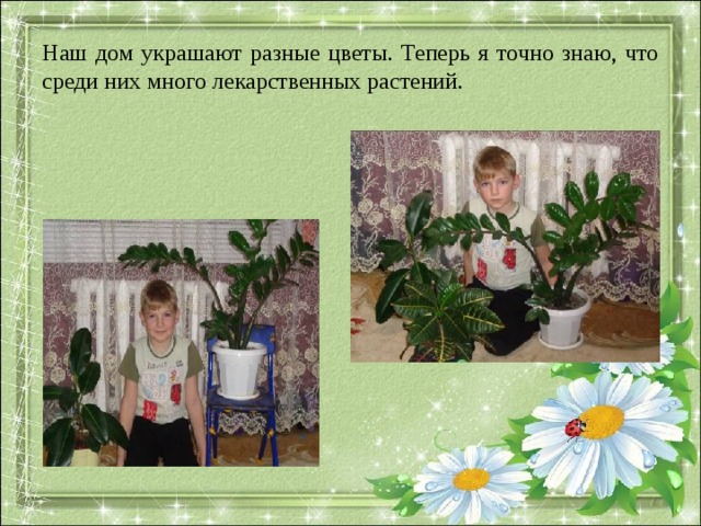 Наш дом украшают разные цветы. Теперь я точно знаю, что среди них много лекарственных растений. 
