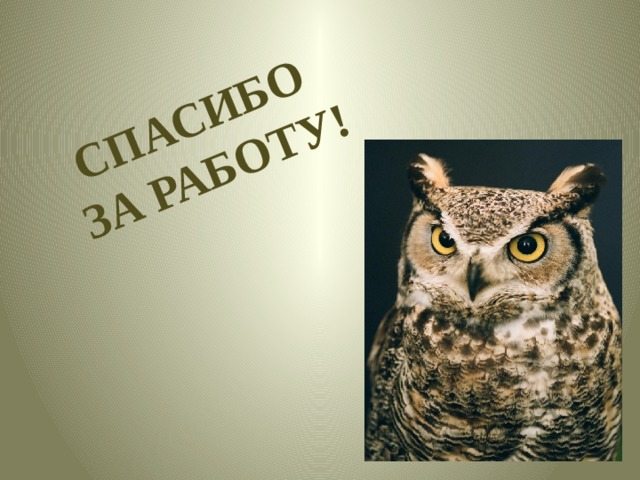 Спасибо за работу! 