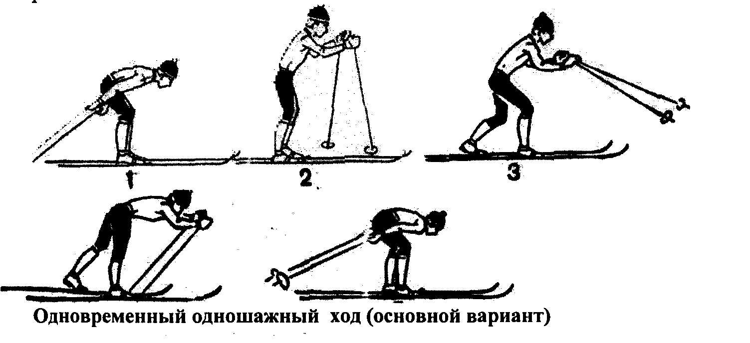 Одновременный одношажный ход картинка