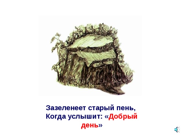 Зазеленеет старый пень,   Когда услышит: « Добрый день » 