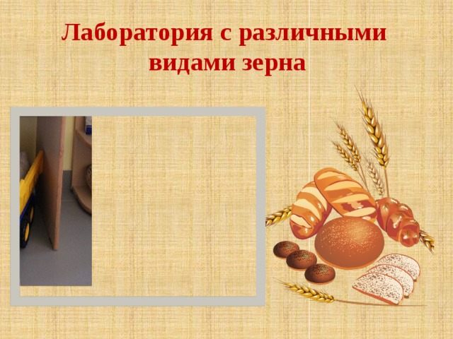 Лаборатория с различными  видами зерна 