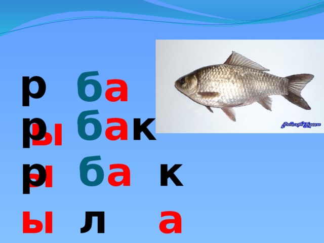 р ы б а б а к р ы р ы б а л к а 