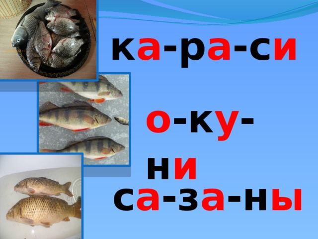 к а -р а -с и о -к у -н и с а -з а -н ы 