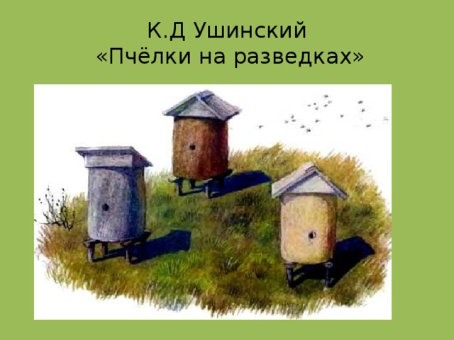 Пчелки на разведках ушинский картинки