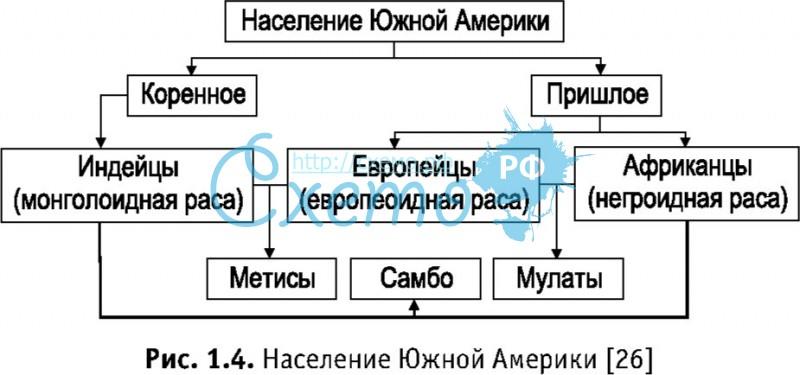 Состав народов южной америки