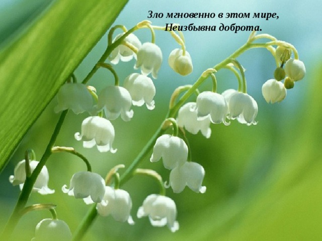 Зло мгновенно в этом мире,  Неизбывна доброта. 