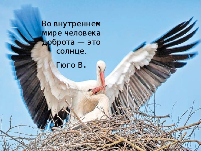 Во внутреннем мире человека доброта — это солнце.  Гюго В . 