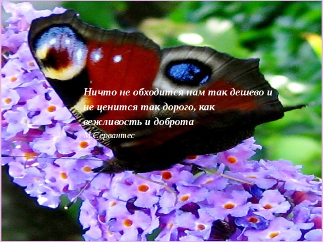 Ничто не обходится нам так дешево и не ценится так дорого, как вежливость и доброта  М.Сервантес 