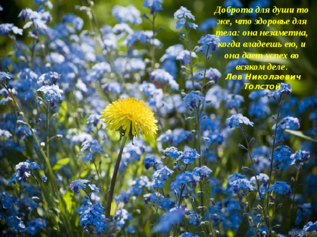 Доброта для души то же, что здоровье для тела: она незаметна, когда владеешь ею, и она дает успех во всяком деле .   Лев Николаевич Толстой 