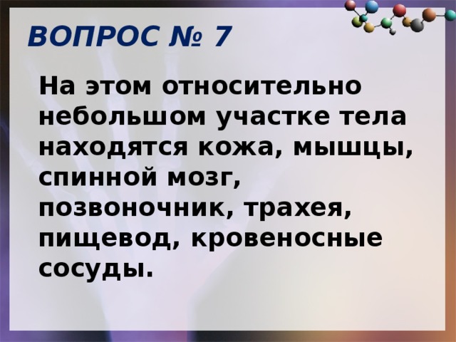 ВОПРОС № 7   На этом относительно небольшом участке тела находятся кожа, мышцы, спинной мозг, позвоночник, трахея, пищевод, кровеносные сосуды.   