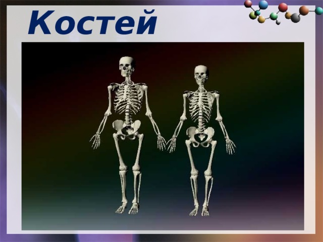 Костей 