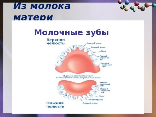 Из молока матери 