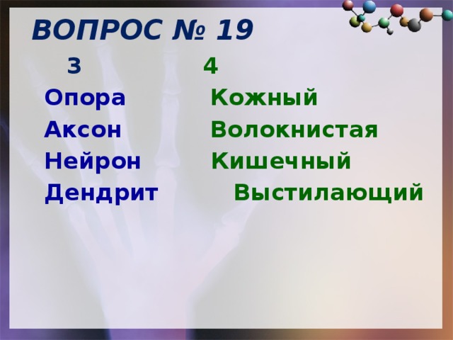 ВОПРОС № 19    3       4  Опора       Кожный   Аксон      Волокнистая  Нейрон     Кишечный  Дендрит    Выстилающий  