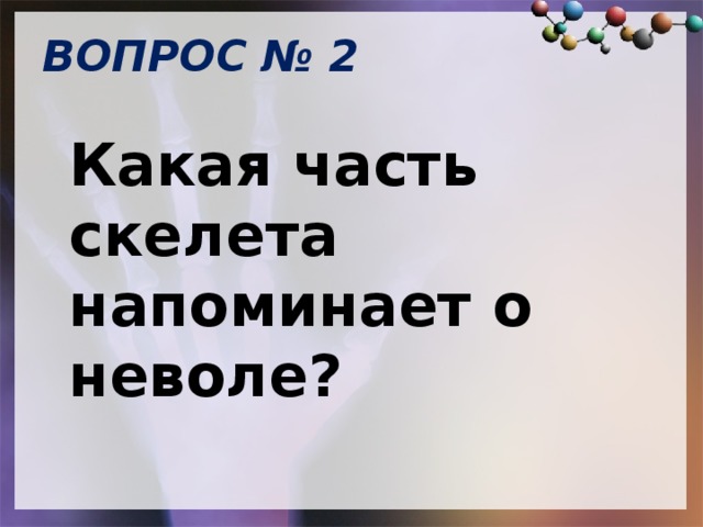 ВОПРОС № 2   Какая часть скелета напоминает о неволе? 