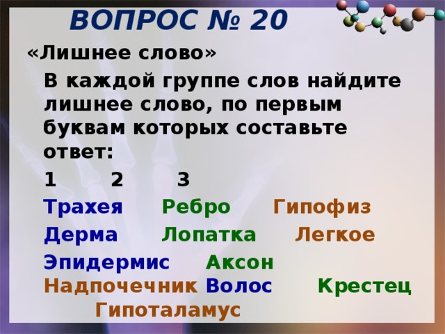 ВОПРОС № 20  «Лишнее слово»  В каждой группе слов найдите лишнее слово, по первым буквам которых составьте ответ:  1    2    3  Трахея    Ребро   Гипофиз  Дерма   Лопатка   Легкое   Эпидермис   Аксон    Надпочечник  Волос     Крестец     Гипоталамус     