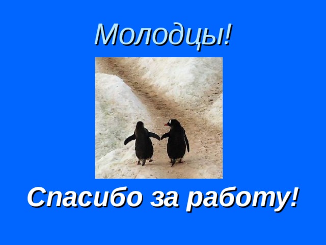 Молодцы!   Спасибо за работу!