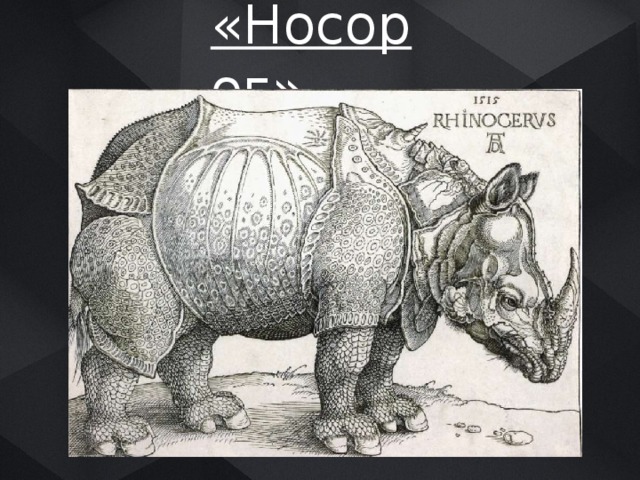 «Носорог» 
