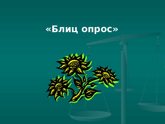 «Блиц опрос»
