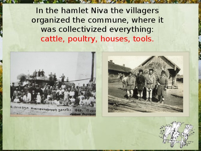 In the hamlet Niva the villagers organized the commune, where it was collectivized everything: cattle, poultry, houses, tools. 