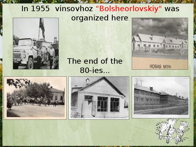 In 1955 vinsovhoz 