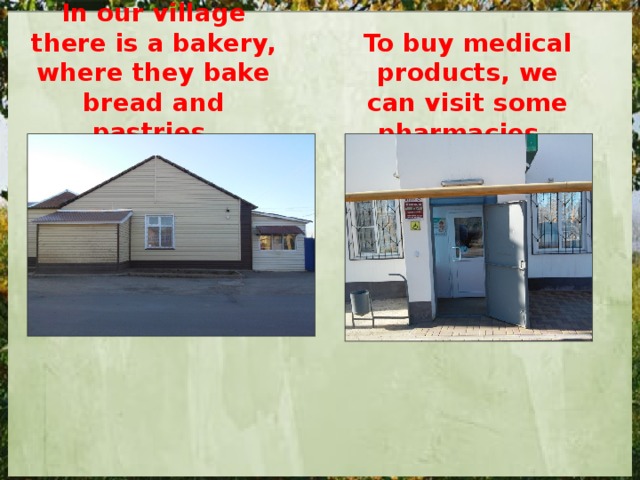 In our village there is a bakery, where they bake bread and pastries. To buy medical products, we can visit some pharmacies. 