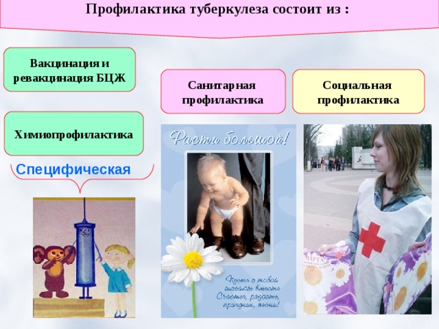 Профилактика туберкулеза состоит из : Вакцинация и  ревакцинация БЦЖ  Санитарная профилактика Социальная профилактика Химиопрофилактика Специфическая 