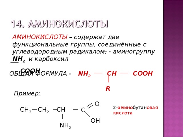 АМИНОКИСЛОТЫ – содержат две функциональные группы, соединённые с углеводородным радикалом, - аминогруппу NH 2 и карбоксил  СООН CH NH 2 ОБЩАЯ ФОРМУЛА - COOH R Пример: O СН 3  CH 2 CH  2 - амино бутан овая кислота C  ОН NH 2 
