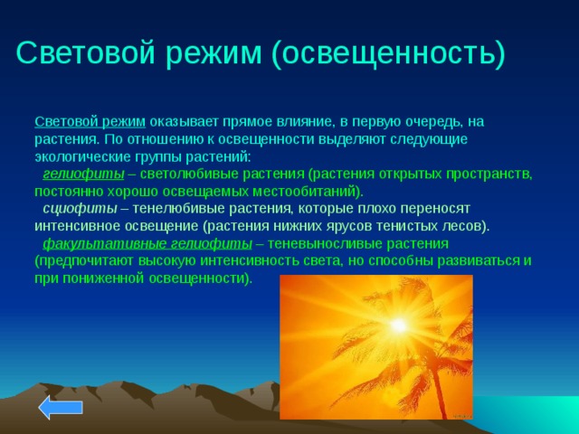 Следующий окружающее. Световой режим в лесу. Световой режим растений. Световой режим местообитания. Режим освещенности.