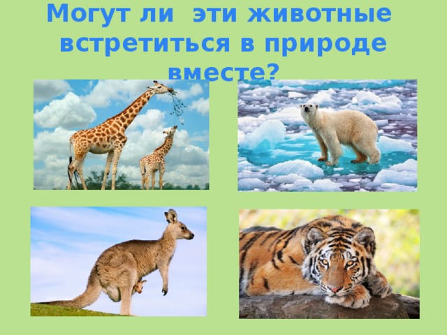 Почему мир животных многообразен