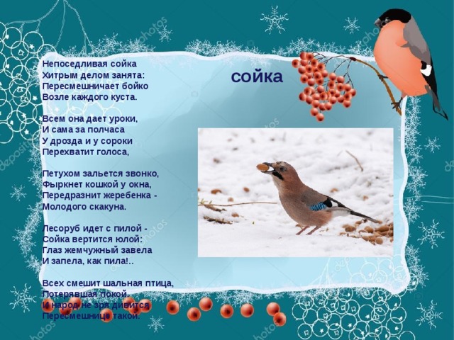 сойка Непоседливая сойка  Хитрым делом занята:  Пересмешничает бойко  Возле каждого куста.   Всем она дает уроки,  И сама за полчаса  У дрозда и у сороки  Перехватит голоса,   Петухом зальется звонко,  Фыркнет кошкой у окна,  Передразнит жеребенка -  Молодого скакуна.   Лесоруб идет с пилой -  Сойка вертится юлой:  Глаз жемчужный завела  И запела, как пила!..   Всех смешит шальная птица,  Потерявшая покой.  И народ не зря дивится  Пересмешнице такой.