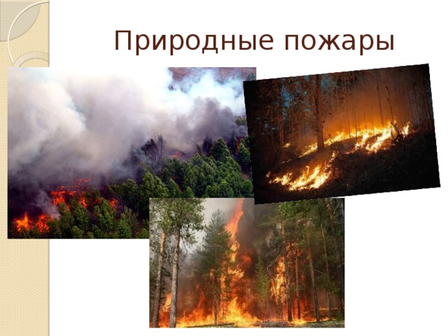 Природные пожары 