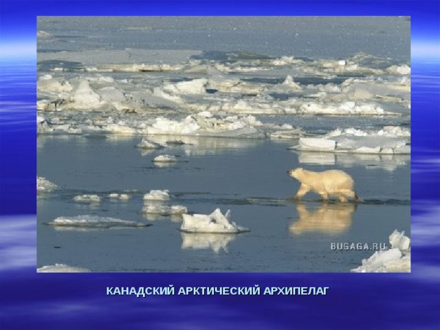  КАНАДСКИЙ АРКТИЧЕСКИЙ АРХИПЕЛАГ 