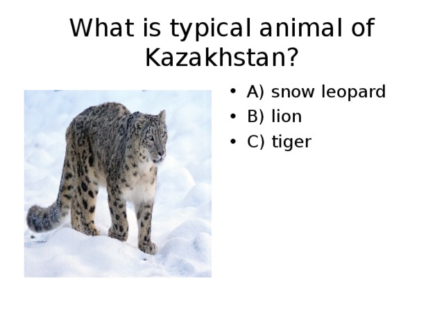 What is typical animal of Kazakhstan? A) snow leopard B) lion C) tiger 