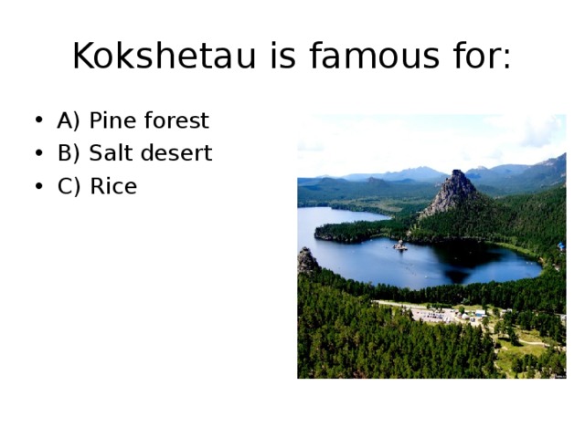 Kokshetau is famous for: A) Pine forest B) Salt desert C) Rice 