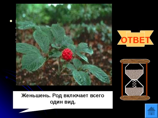 Вопрос 10 Панакс (от греческого «пан»- всё и «акос»- исцеляющий)- это родовое название дал растению К.Линней в 1753 году. Что это за растение? ОТВЕТ Женьшень. Род включает всего один вид. 